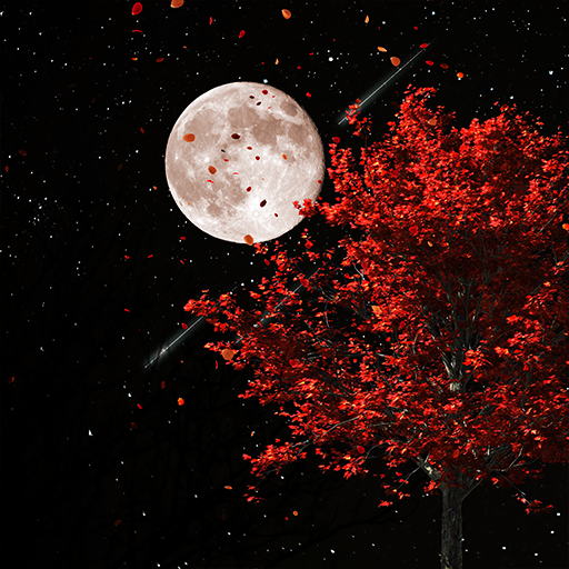 4K Wallpaper HD - Dancing in t logo