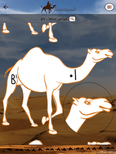 الديار screenshot 10