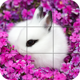 Puzzle - Cute bunnies icon