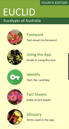 Android application EUCLID Eucalypts of Australia screenshort