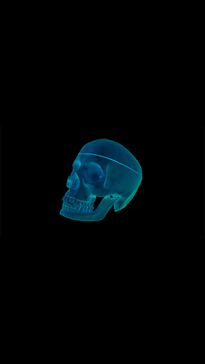 Android application fire skeleton wallpaper screenshort
