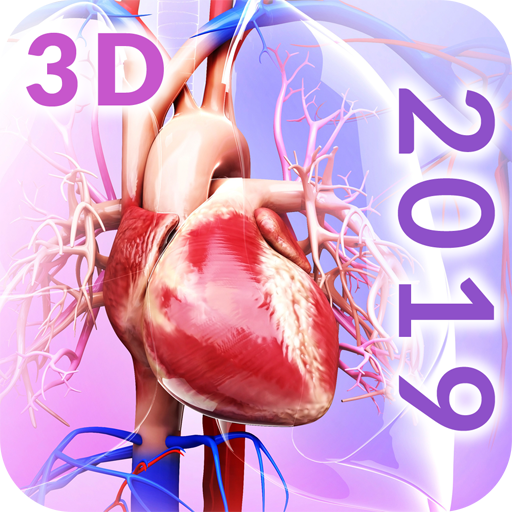 Circulatory System Anatomy  Icon