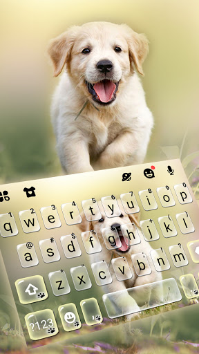 Android application Labrador Puppy Keyboard Backgr screenshort