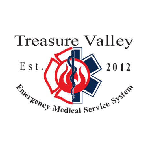 TVEMSS SWO logo