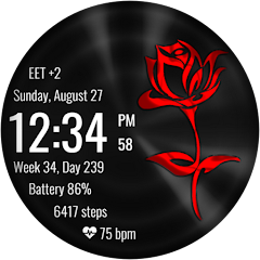 Icon image