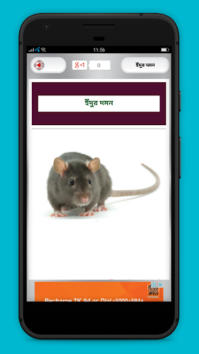 ঘরবাড়ি থেকে পোকামাকড় দমন করার পদ্ধতি