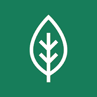 Eco Friendly Cleaners