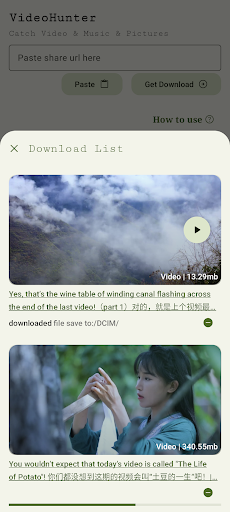 Video Downloader 2024 Screen 3