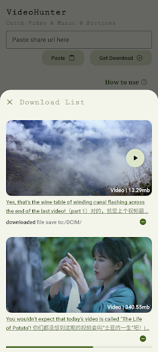 Video Downloader 2024 3