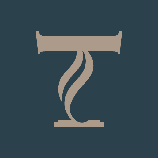 Money-T logo
