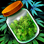 Hempire: Plant Growing Game 2.21.4 (Unlimited Money)