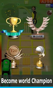 Smashing Cricket: cricket game Screenshot