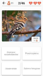 Imágen 4 Animales: mamíferos, pájaros! android