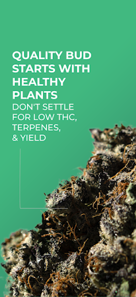 GrowDoc: Cannabis Plant Doctor Video Stills 5