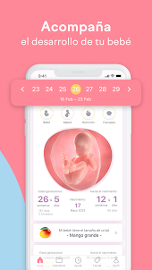 amma: calendario de embarazo