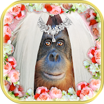 Cover Image of ดาวน์โหลด Crazy Wedding Pic-Face in Hole 2.6 APK
