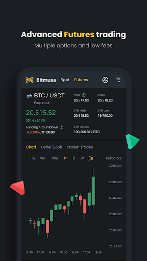 Bitmusa Screen 3