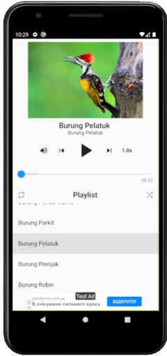 Masteran Cucak Ijo Full Isian