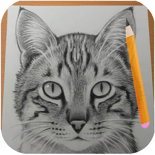luge foran Stifte bekendtskab Hvordan til at Tegne Katte – Apps i Google Play