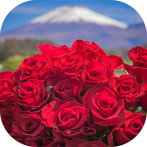 Beautiful flowers pictures logo