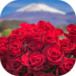 Cover Image of Скачать Beautiful flowers pictures  APK