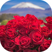 Beautiful flowers and roses pictures