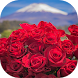 Beautiful flowers pictures - Androidアプリ