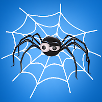 Spider Web