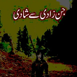 Jinn Zadi Say Shadi Urdu Novel icon