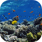 UNDERWATER Wallpapers v2 icon
