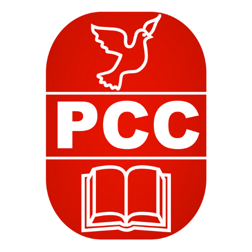 PATEL COMMERCE CLASSES logo