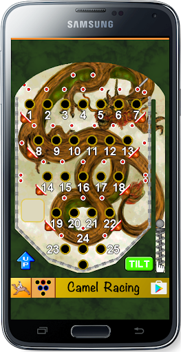 Bingo Pinball Dragon screenshots 1