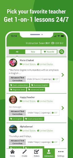 IDIY - Essay Writing Lessons Screen 3