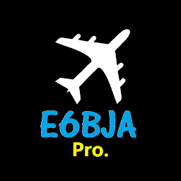E6BJA E6B CX3 Computer (Pro.): Download & Review