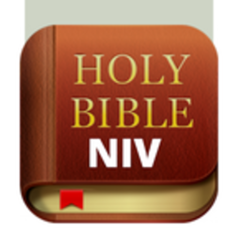 NIV- Bible for You  Icon