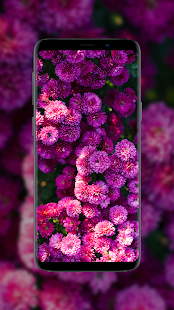 Flower Wallpapers in HD, 4K 4.1.39 screenshots 2
