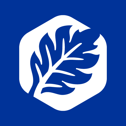 DKE Easy Connected logo