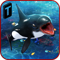 Killer Whale Beach Attack 3D