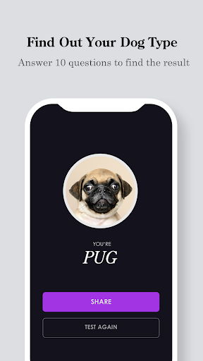 Android application Which Dog Breed Are You? screenshort
