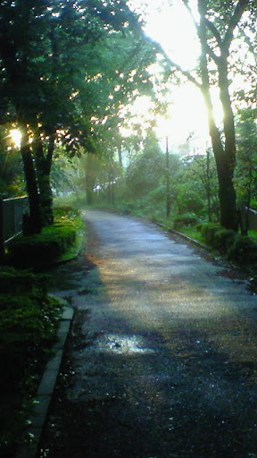 Android application a05w_Test_01 1 screenshort