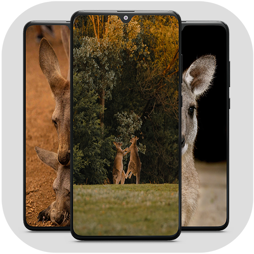 Kangaroo HD Wallpaper logo