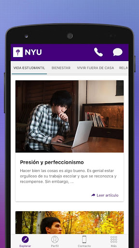 Vista previa de la aplicación