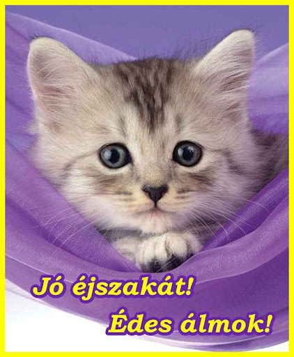 Jó estét Jó éjszakát Screen 2