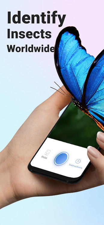 Picture Insect: Bug Identifier - 2.8.27 - (Android)