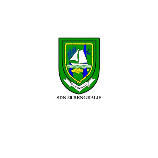 SD N 30 BENGKALIS logo