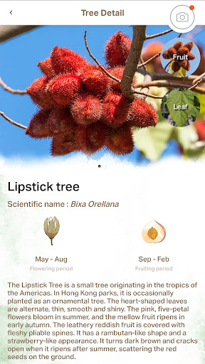 Discover Trees at WestK Screen 2