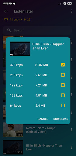 Music Player and Downloader Screen 2