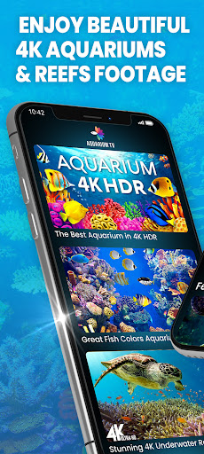 Aquariums TV Screen 2