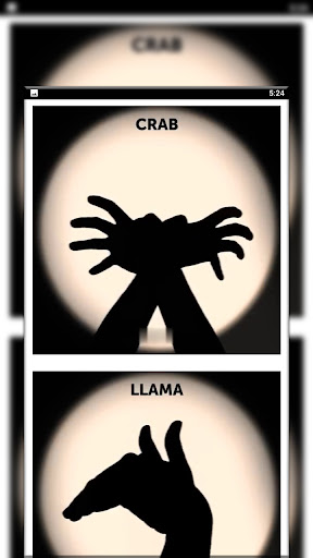 Hand Shadow Beginners Guide