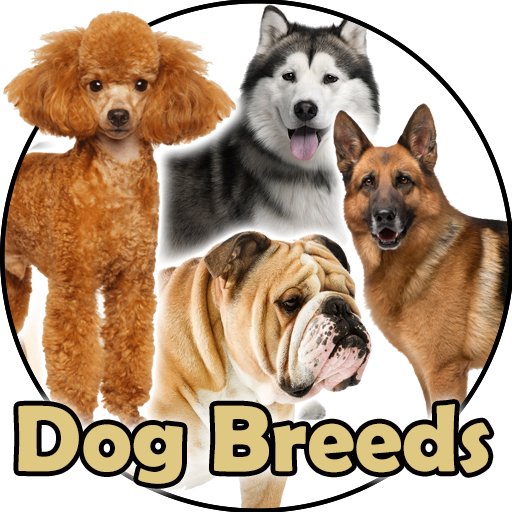 Dog Breeds - Pics and Info 1.0.0 Icon